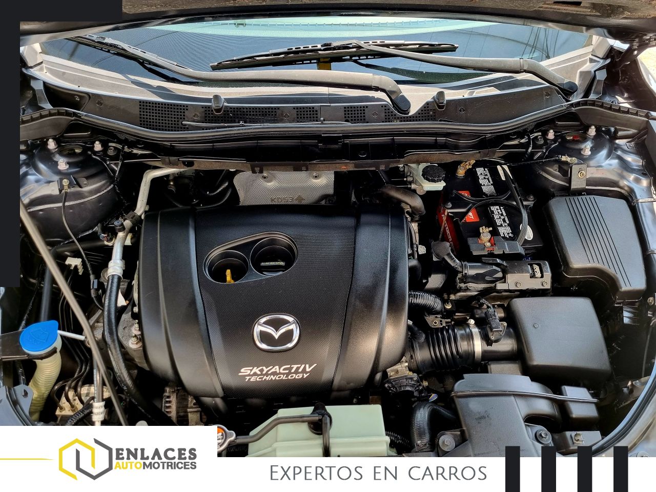 Enlaces Automotrices