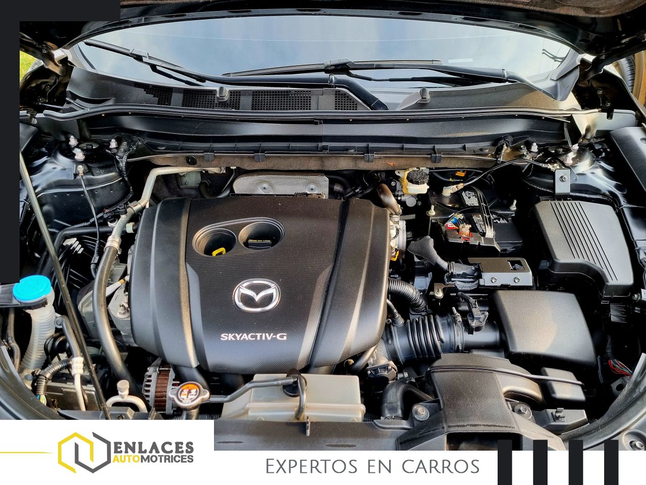 Enlaces Automotrices