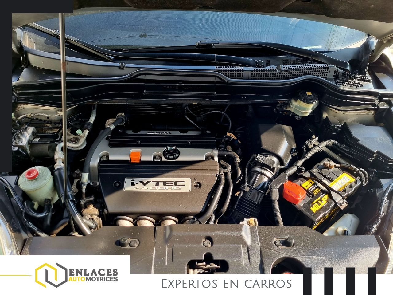 Enlaces Automotrices